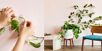 Use Command™ Mini hooks when space is tight
